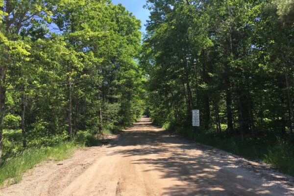 Dirt road with trees lining both sides.