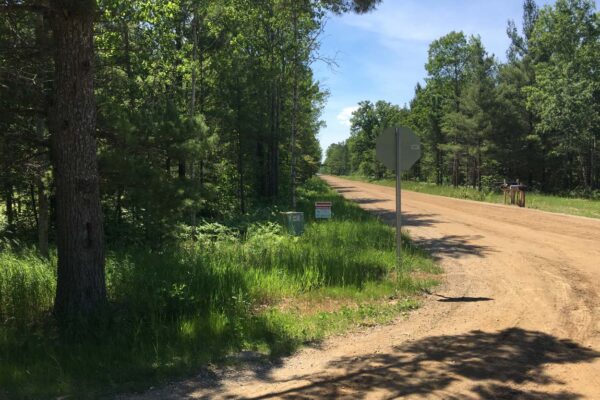 Stop sign at the end of a dirt road lined with trees and mailboxes.