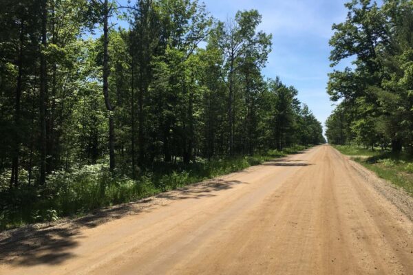 Straight dirt road through the woods lined with hardwoods, ferns, and dirt driveways at the Silverado Estates residential property development in Grand Traverse County.