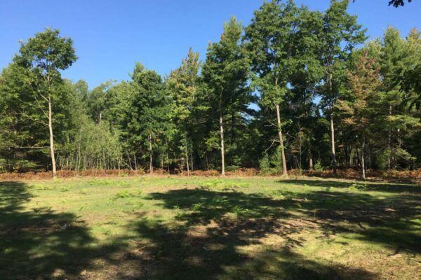 Silverado Estates Property Photos 21