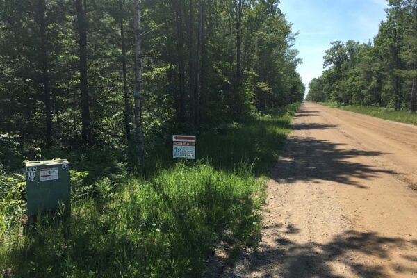 For Sale sign next to a dirt road lined with trees.