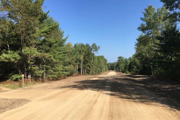 Dirt road lined with trees and driveways.