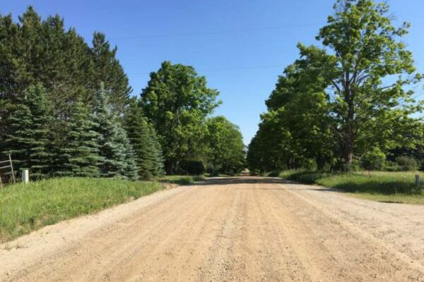 Straight dirt road lined by trees on both sides.