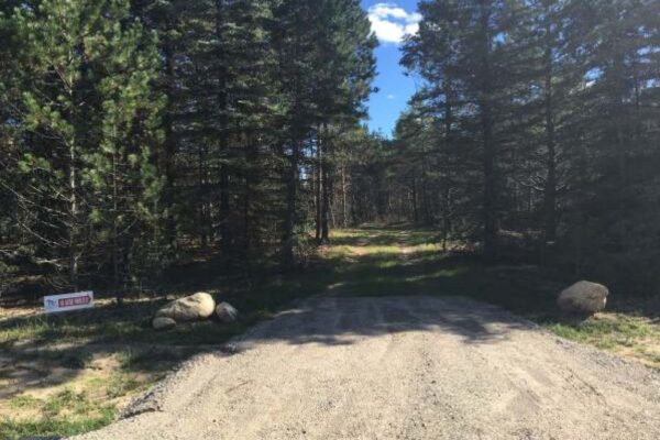 Gravel driveway leading into a two-track road between stands of trees.