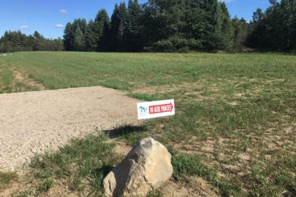 Gravel driveway leading into a large 10-acre covered with mature pine trees.