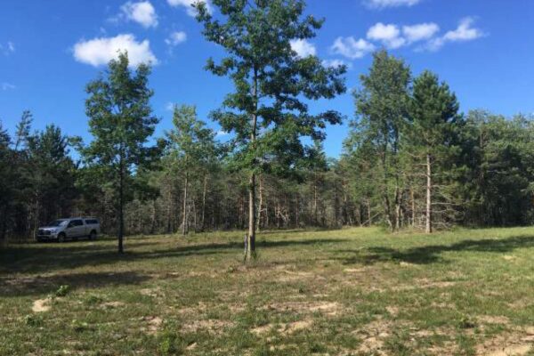 A Great Lakes Land Co. company truck parked at the end of a large lot with tall pine trees.