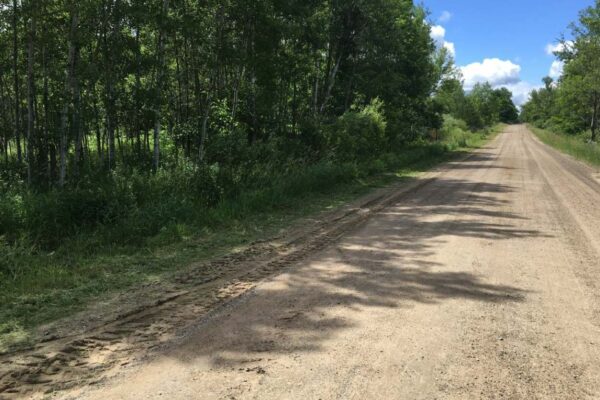 Long straight dirt road lined with bushes and young trees along both sides.