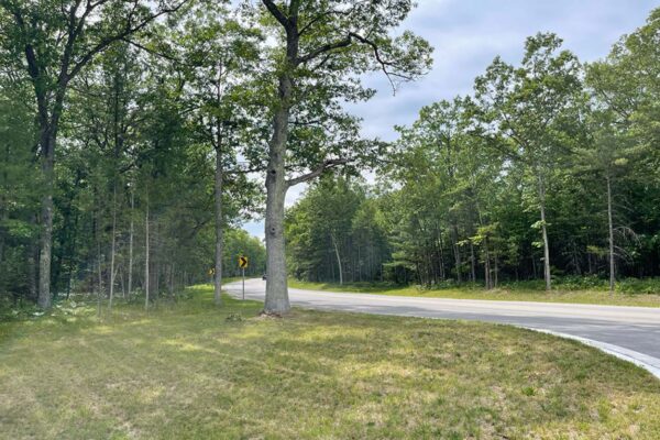 Corner of an acreage parcel for sale in Grand Traverse County with hardwood trees and greenery.