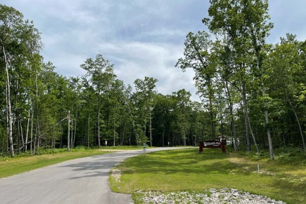 Single-lane blacktop road surrounded by trees leading into the Woodland Trails property development in Grand Traverse County.