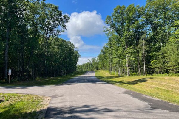 Single-lane blacktop road lined with tall, mature hardwood trees leading into the Woodland Trails property development in Grand Traverse County, Michigan.