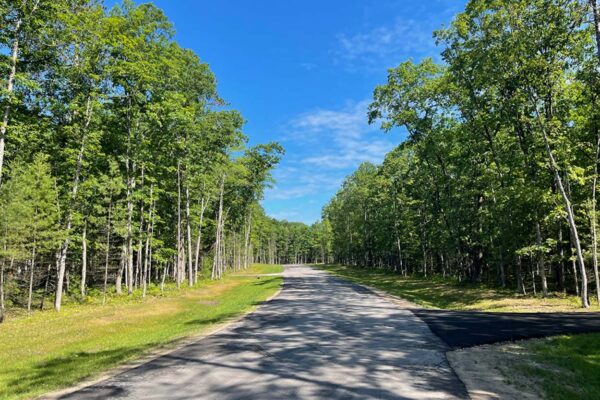 Single-lane blacktop road lined with tall, mature hardwood trees leading into the Woodland Trails property development in Grand Traverse County, Michigan.